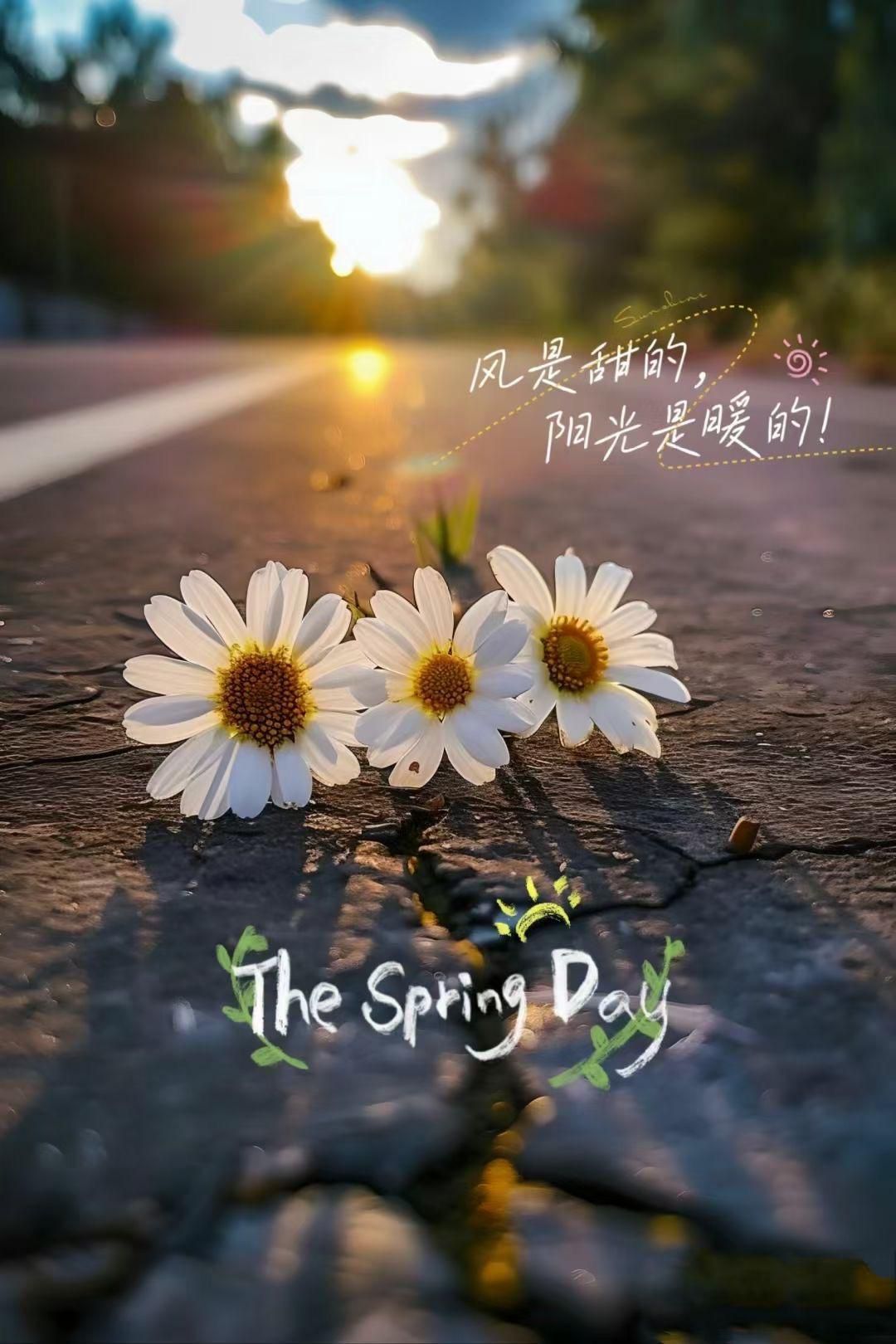 小酒杯🥃ᰔᩚ.来财主播图片