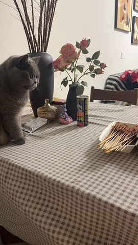 温婉不饿主播照片