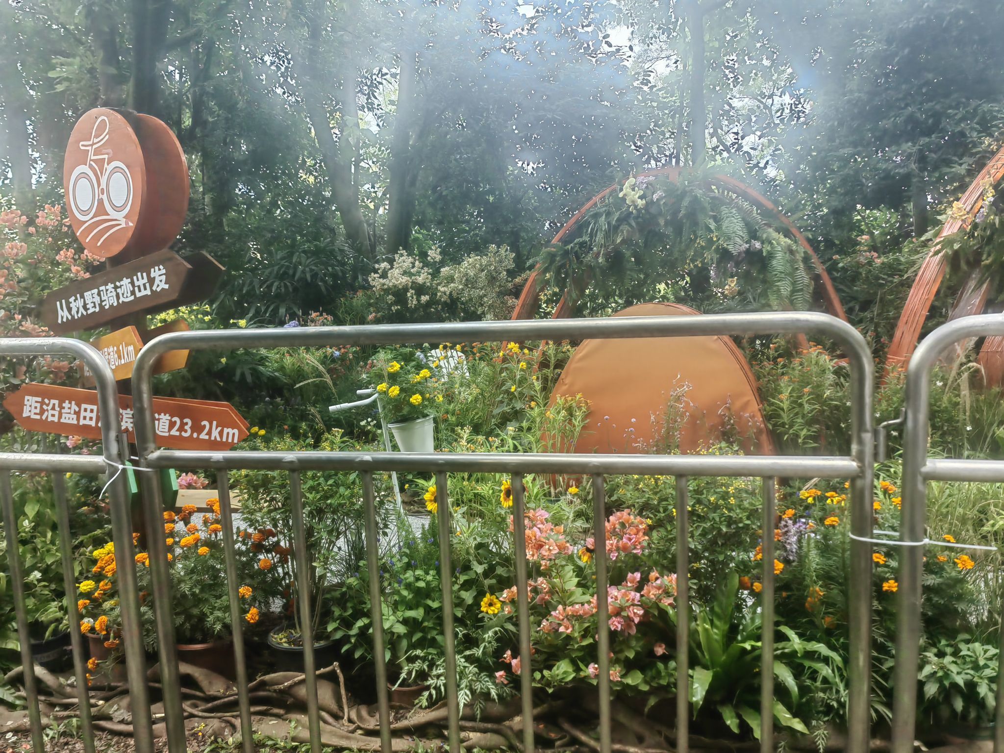 转身只为那一眼红颜主播图片