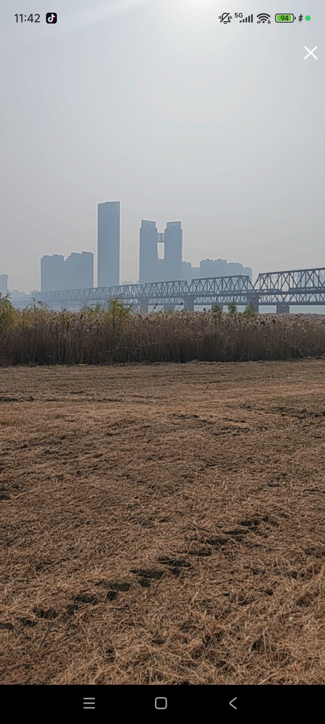 婷婷💕感恩有你陪伴主播图片