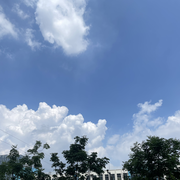 陈醋加冰的头像