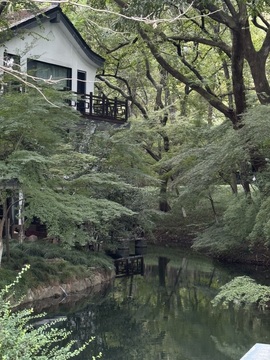 于小鱼今日休明天见主播照片