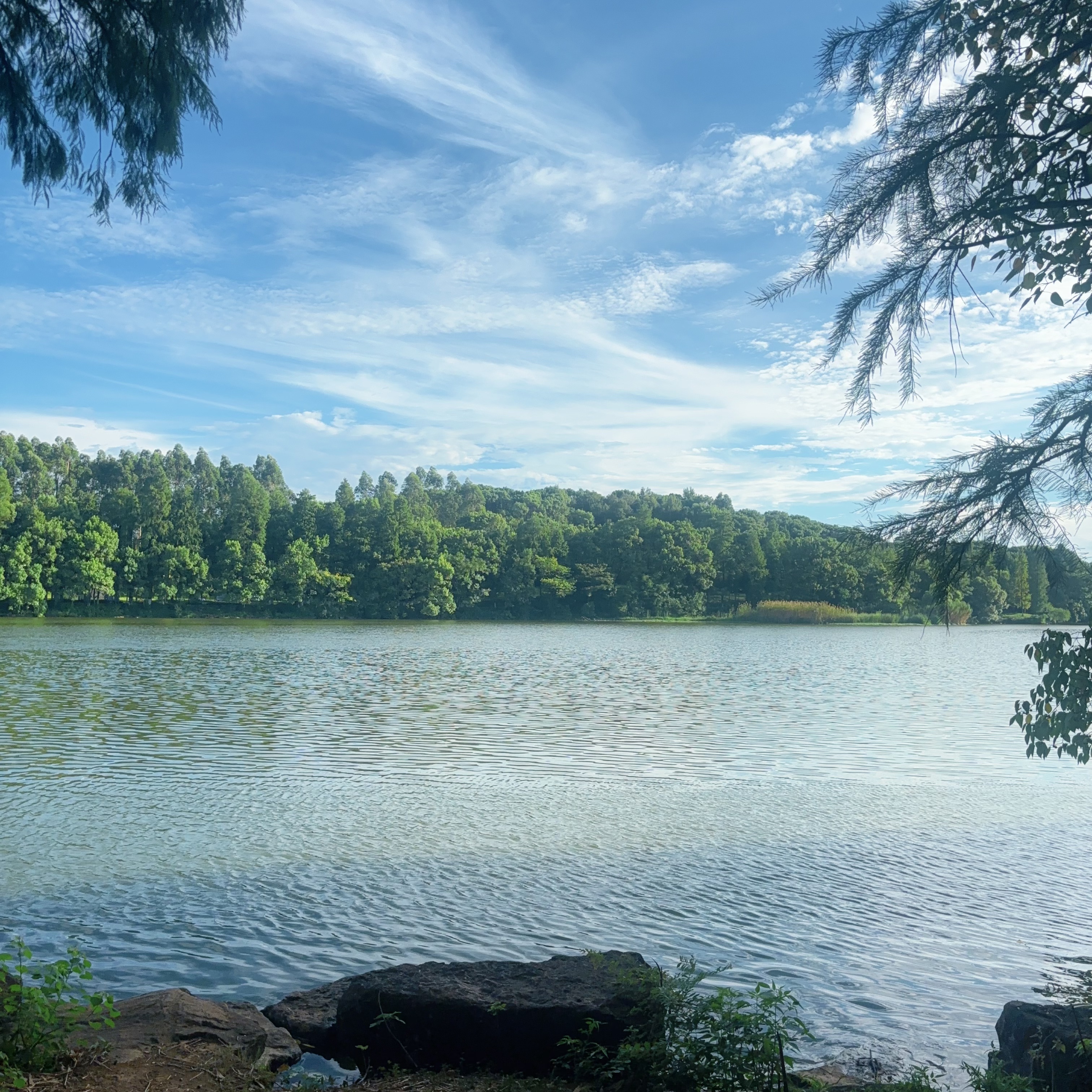 宝儿祝家人们新年快乐的主播照片