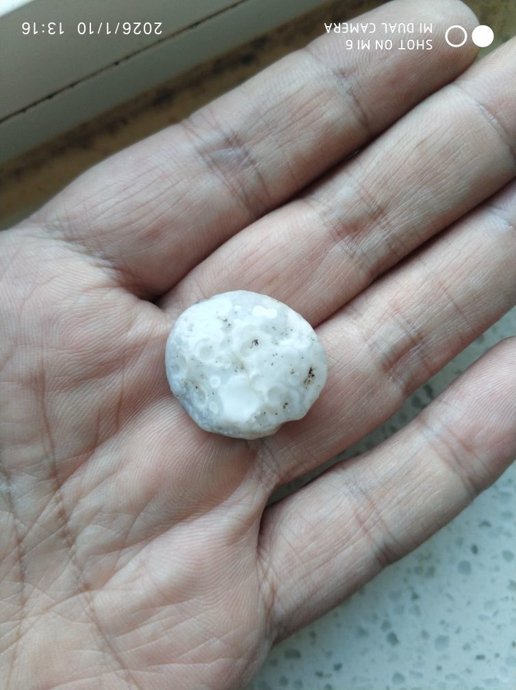 杀止若的主播照片