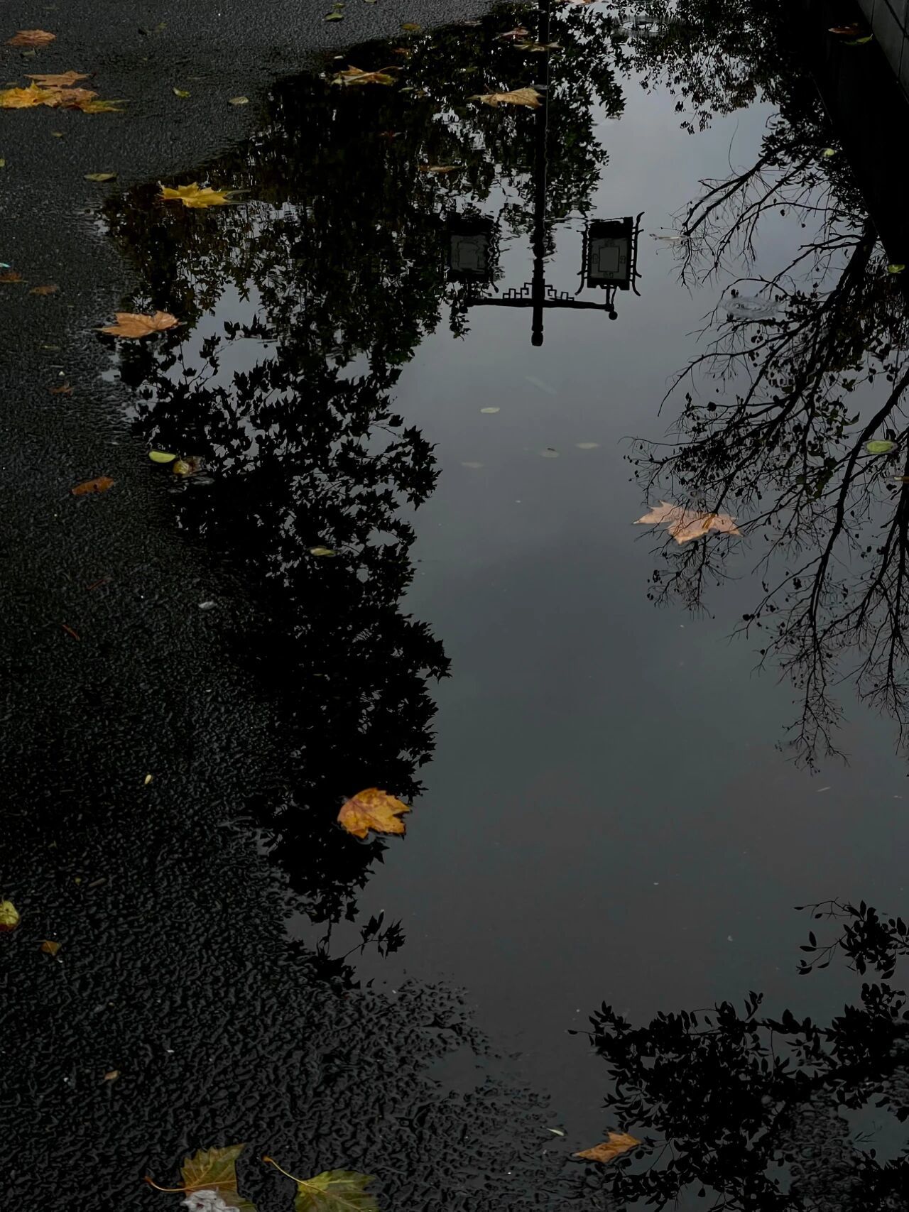 南嘉乖乖~主播图片