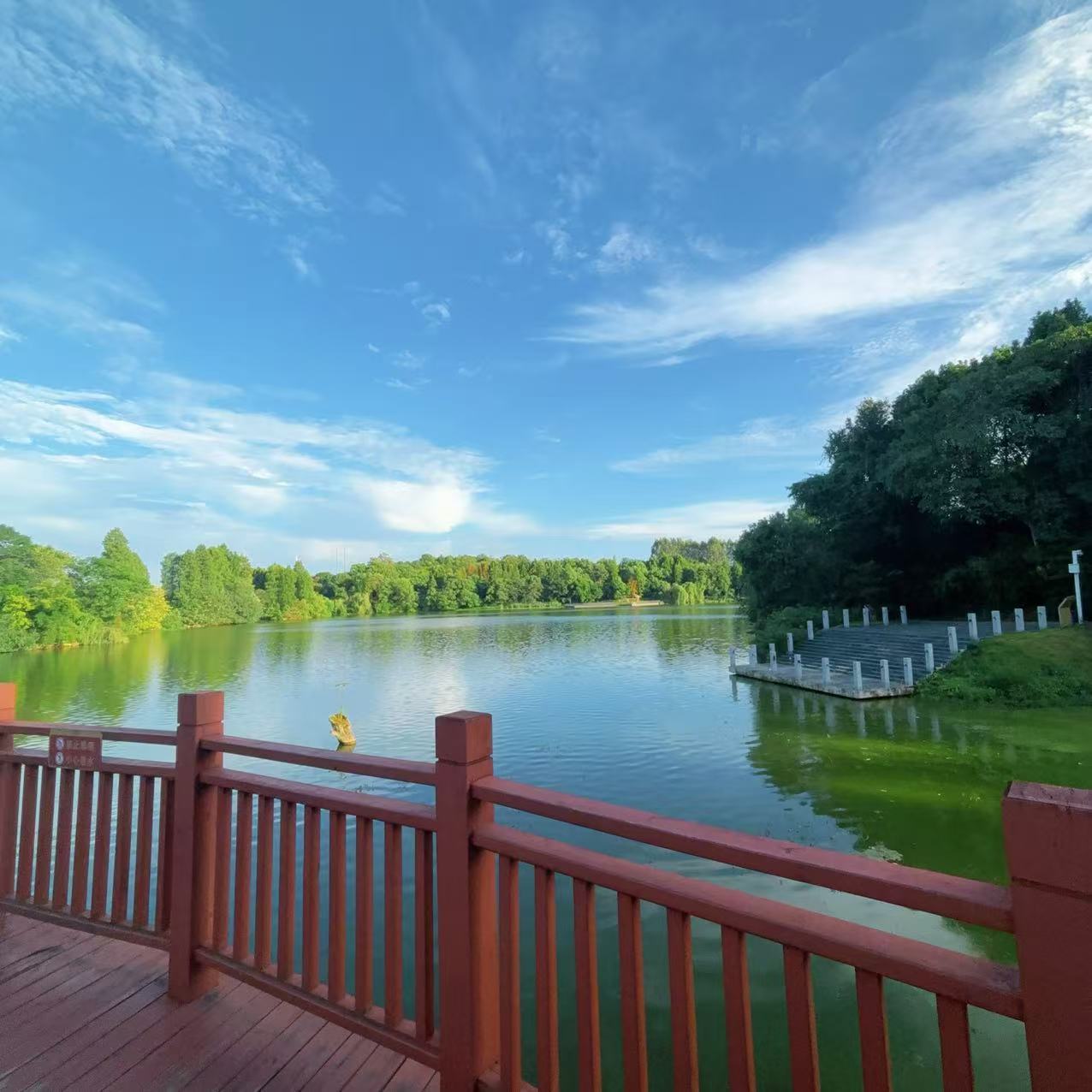 宝儿祝家人们新年快乐的主播照片