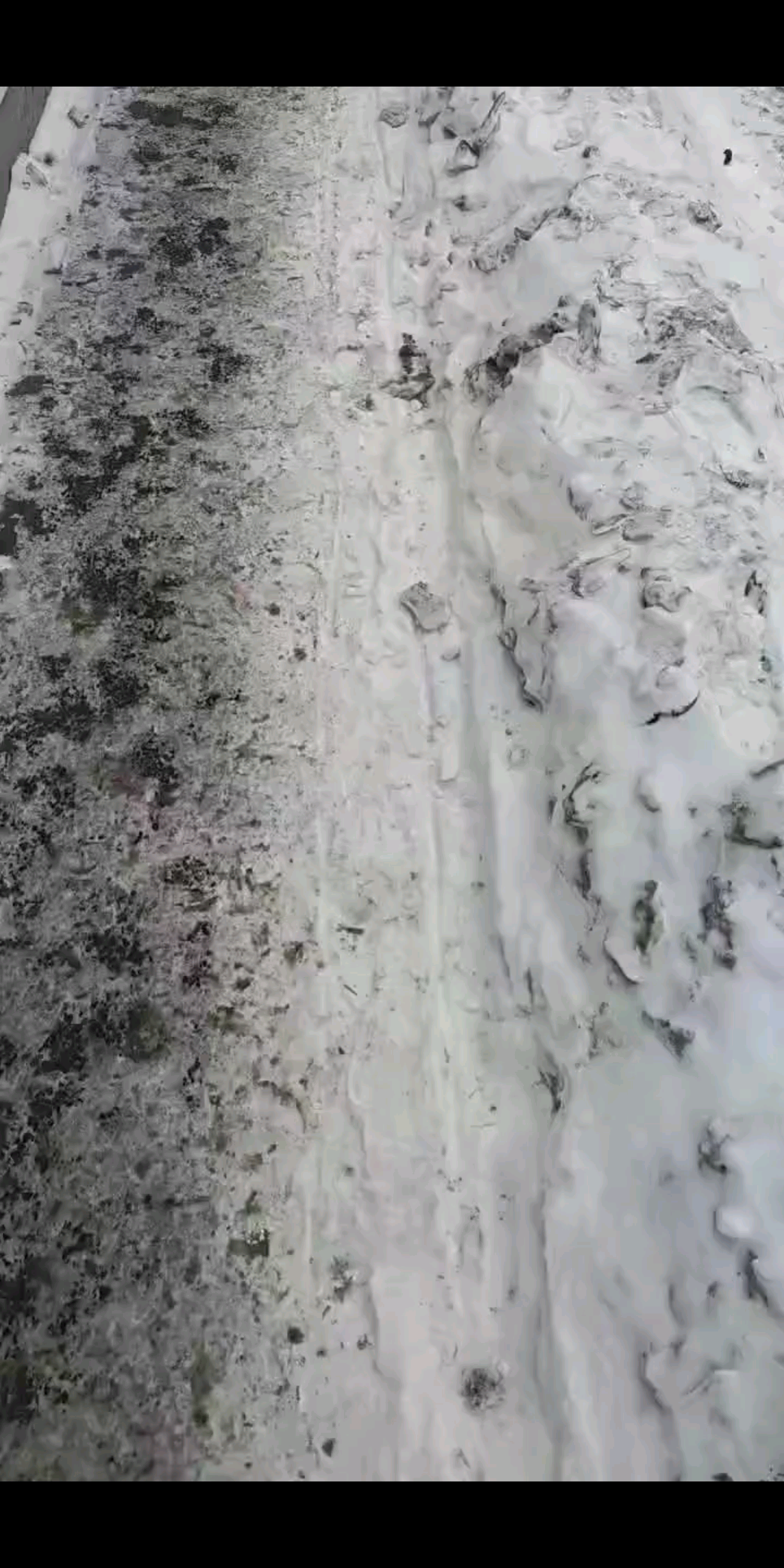 哎吗呀 差点没摔倒/