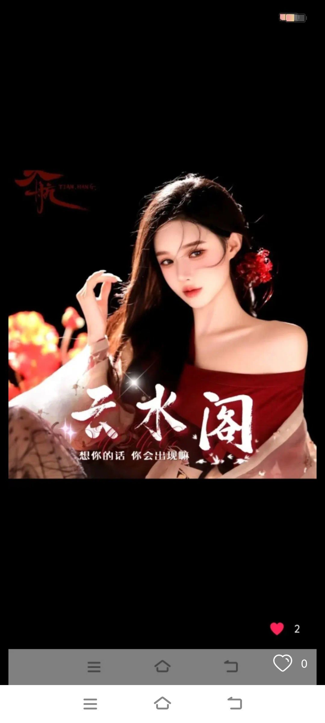 夏日菊花茶主播图片