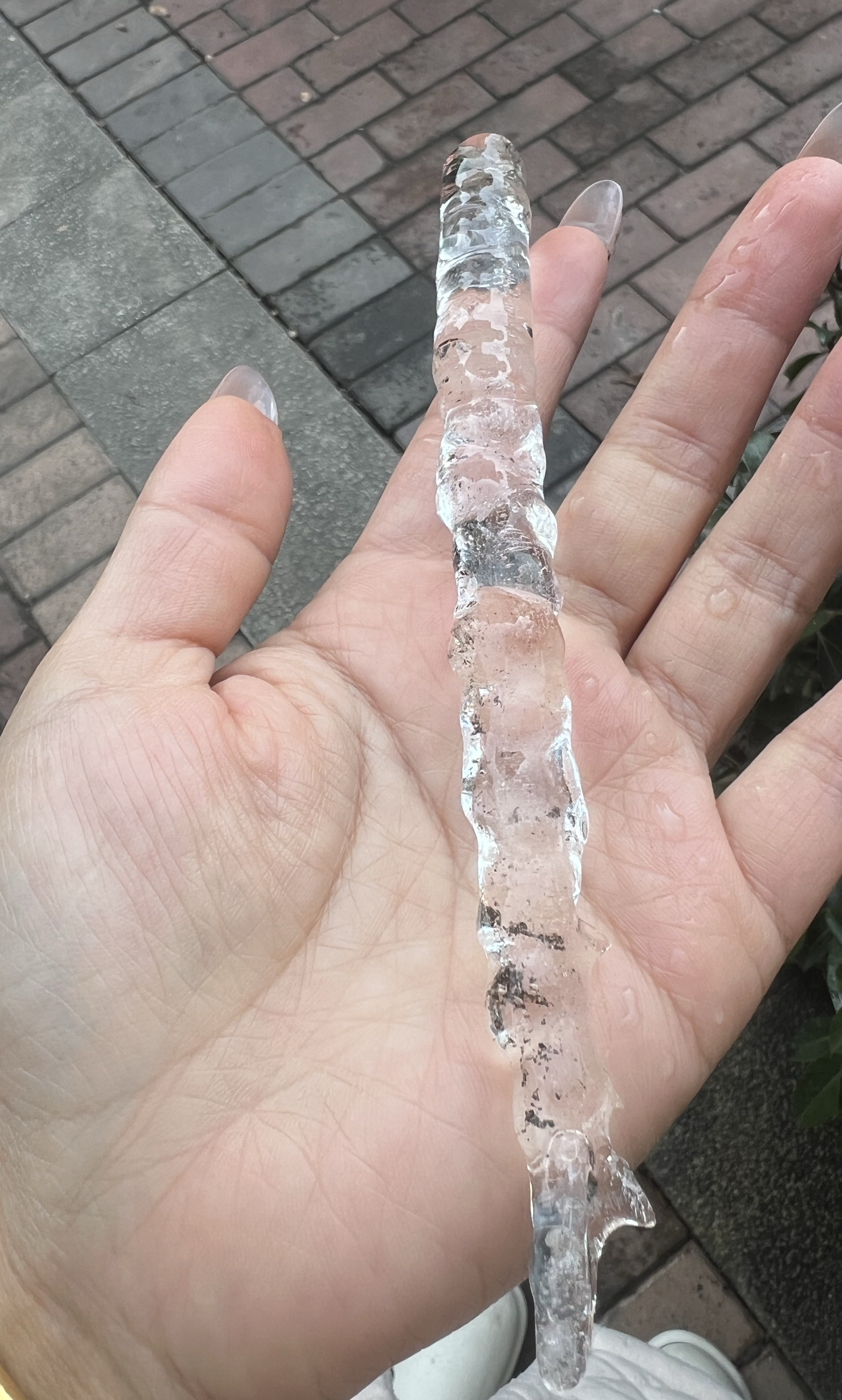 顾念念❤️主播图片