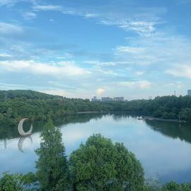宝儿祝家人们新年快乐的图片