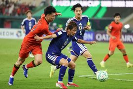 为你穿越1000英里的图片