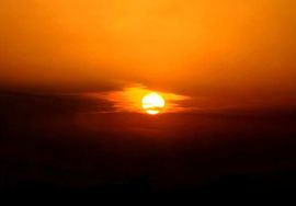 天王盖地虎虎044的图片