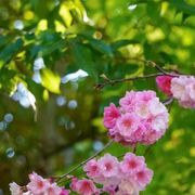 我叫徐淼的头像