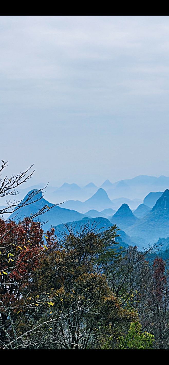 陈思郦祝大家马年大吉的主播照片