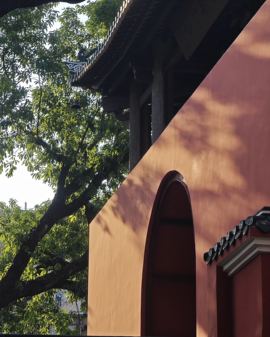 新人纯儿~求百元榜的图片