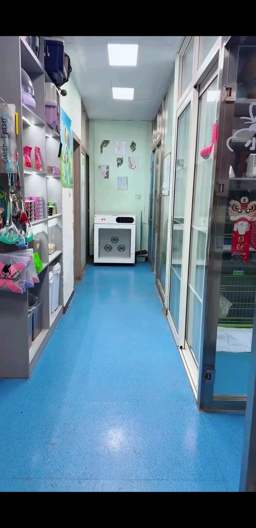 咋说呢，这是一个正经