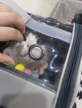 超甜糖祝新年快乐的图片