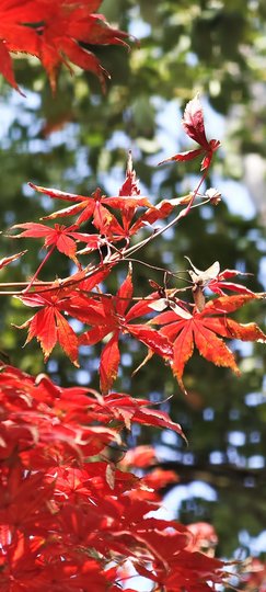 玖❤儿加油主播照片