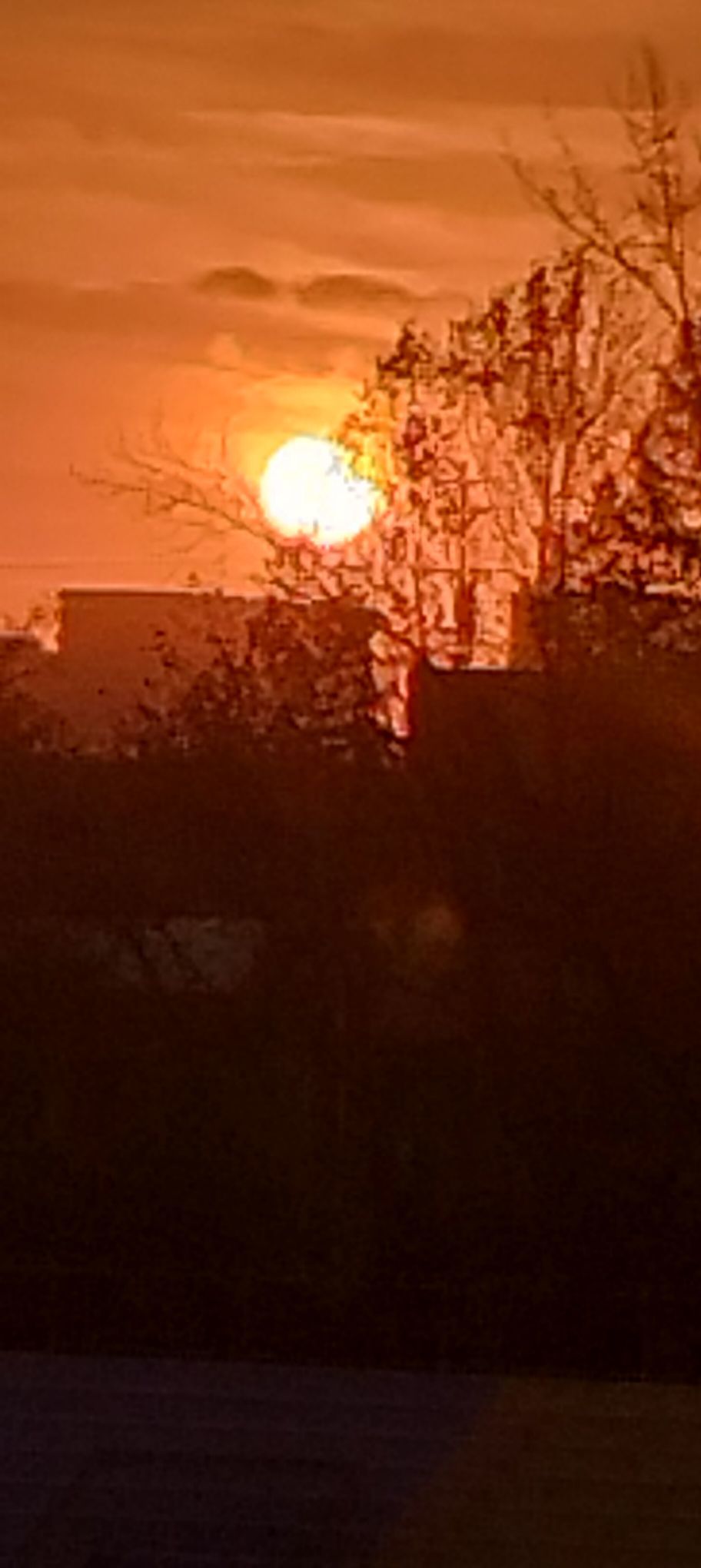 ❤水瓶座旺旺主播图片