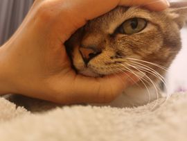 青杉🎤回村手机播主播照片