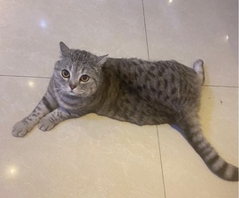 楠漓uu爱唱🎵的图片