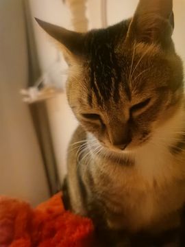 青杉🎤回村手机播主播照片