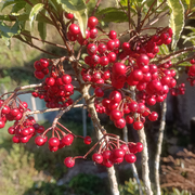 3☆大不留点☆空