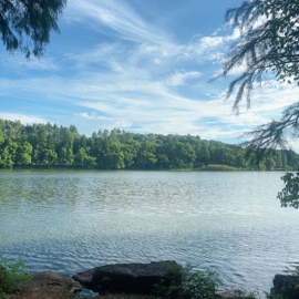 宝儿祝家人们新年快乐的图片