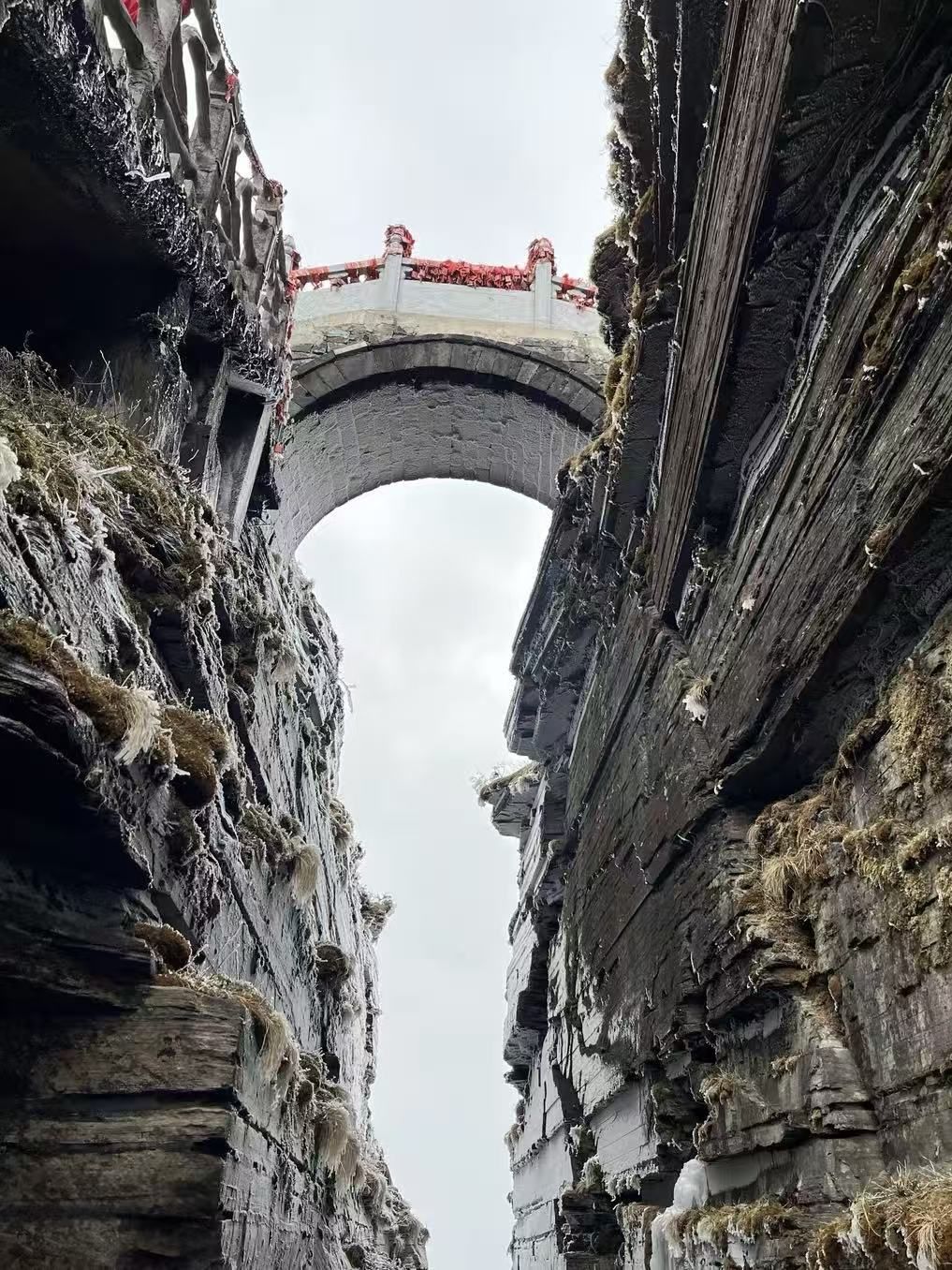 傻白喵不甜😂的主播照片