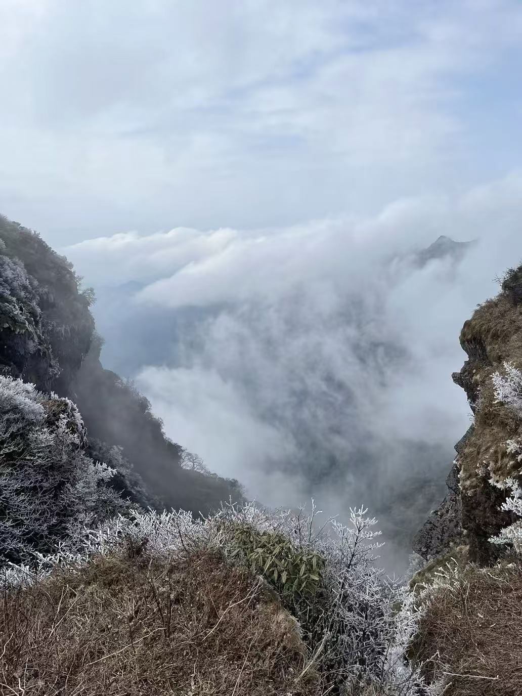 傻白喵不甜😂的主播照片