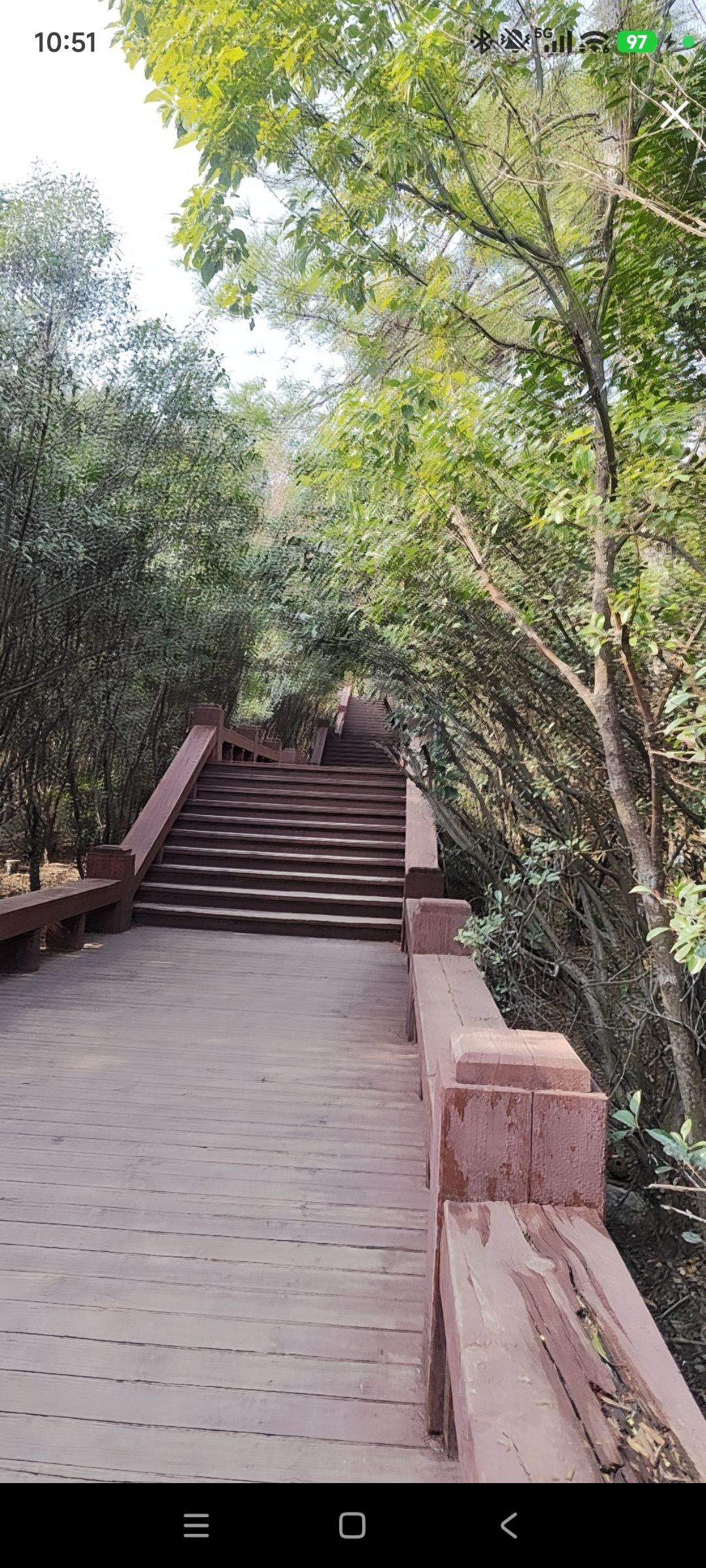 婷祝家人们新年快乐主播图片