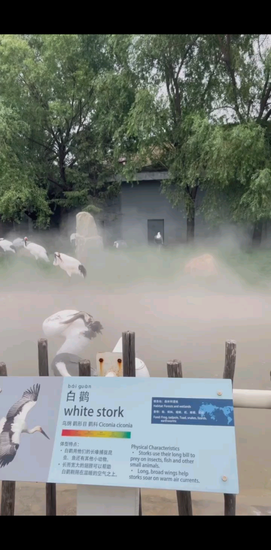 来呀！动物园走起