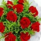 梦的翅🌹🌹🌹