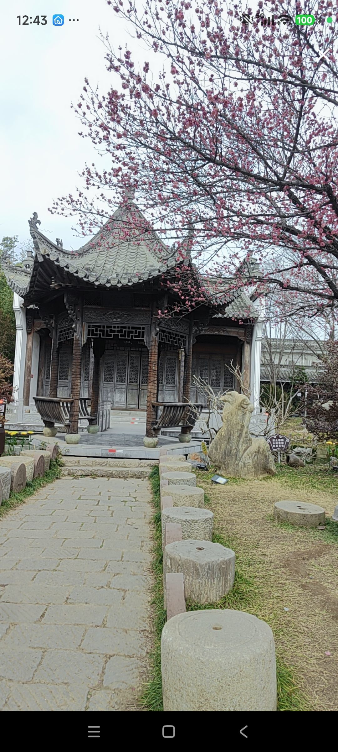 婷祝家人们新年快乐主播图片