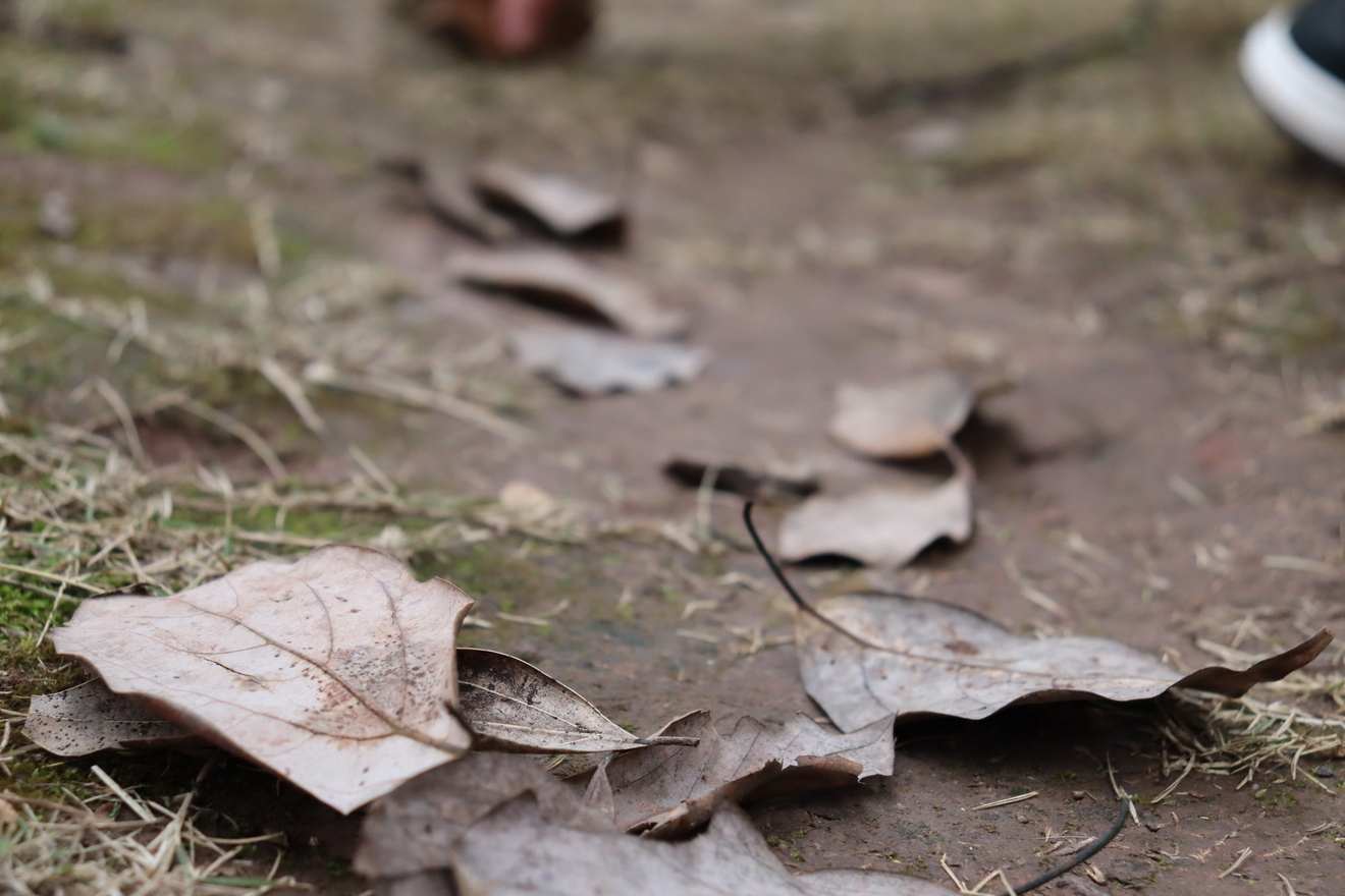 涵十八♫主播图片