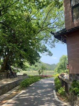 宝儿祝家人们新年快乐的图片