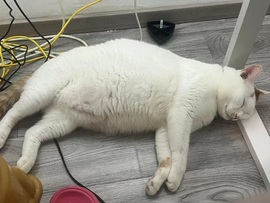 紫琳好运🇨🇳的图片