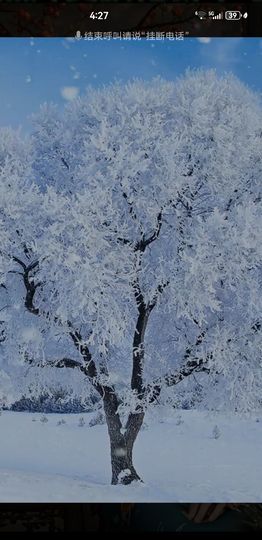 天王盖地虎虎044的图片