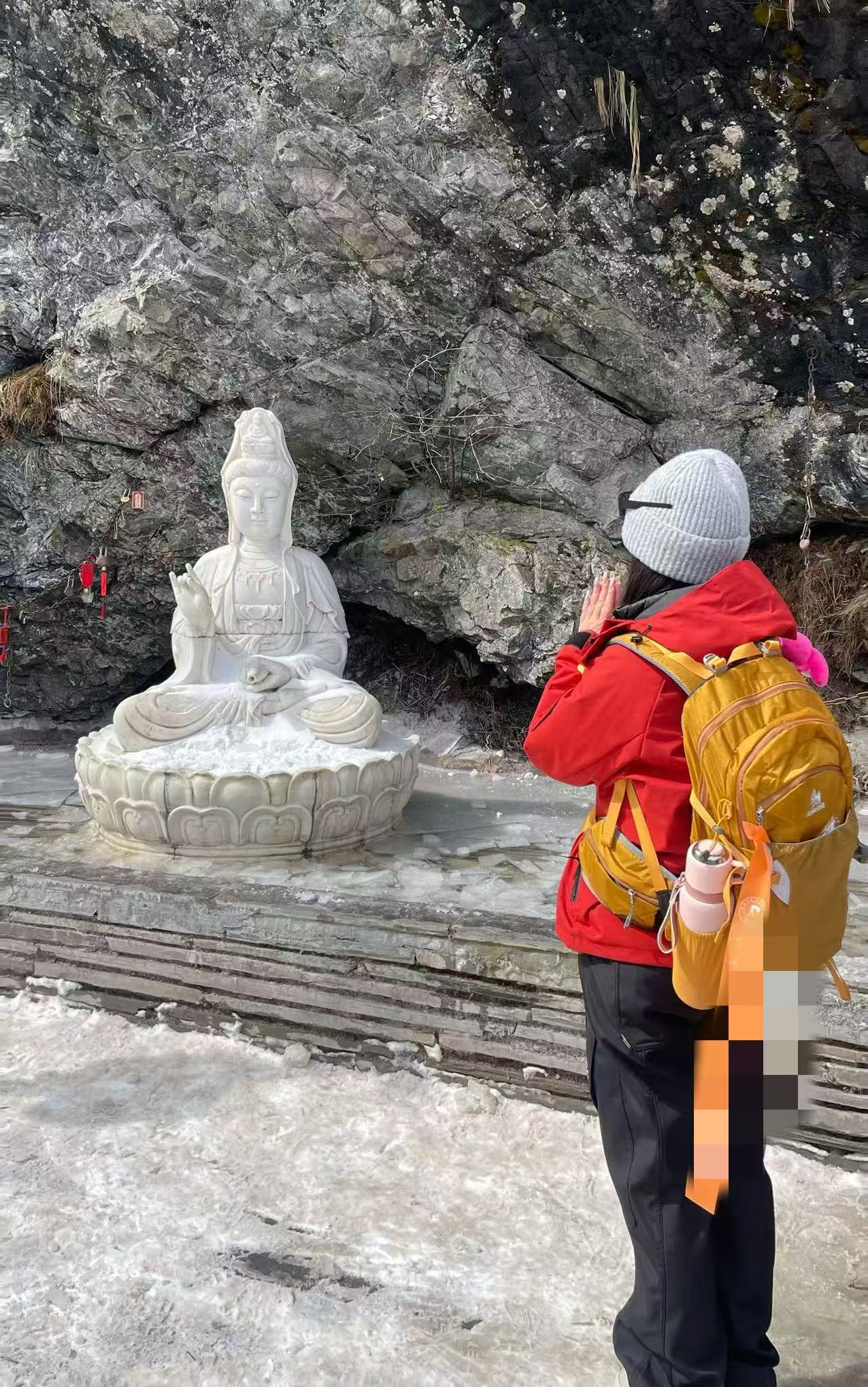 大元宝马年吉祥主播图片