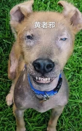 玖❤儿加油（休息）的图片