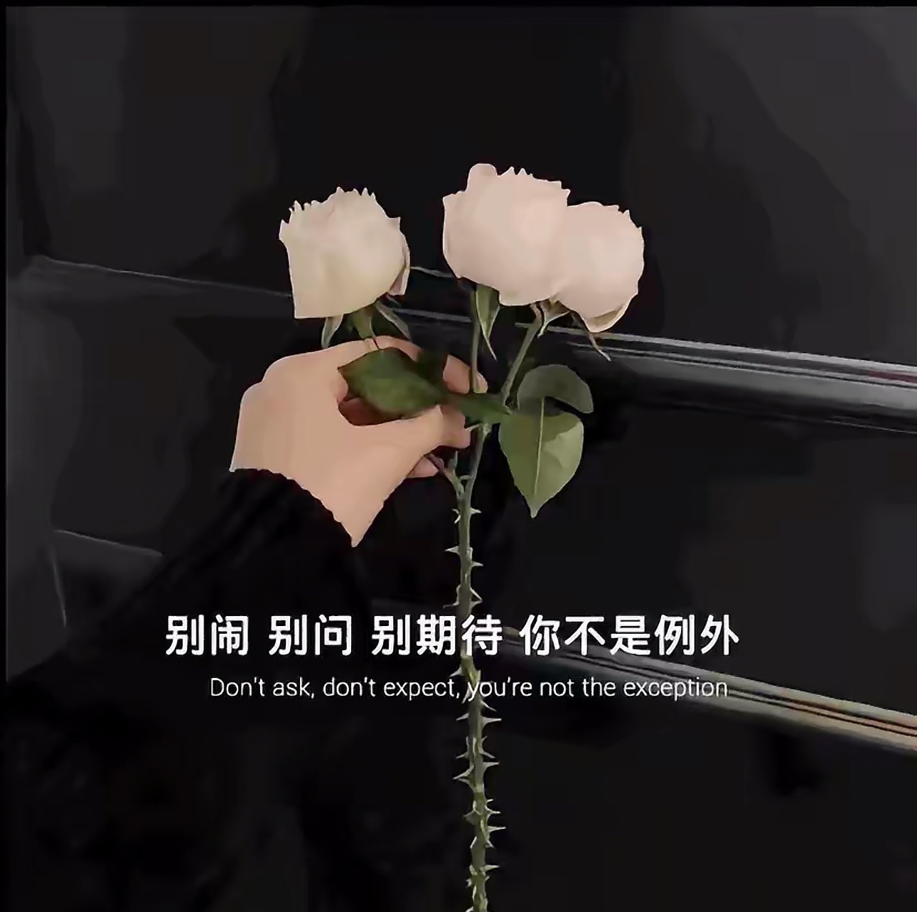 黎儿🍁前程似锦主播图片