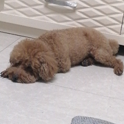 ♥╭侯爵团霸气♥╭