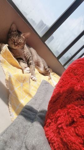 青杉🎤回村手机播主播照片