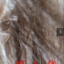 吴江涛Kcp的头像