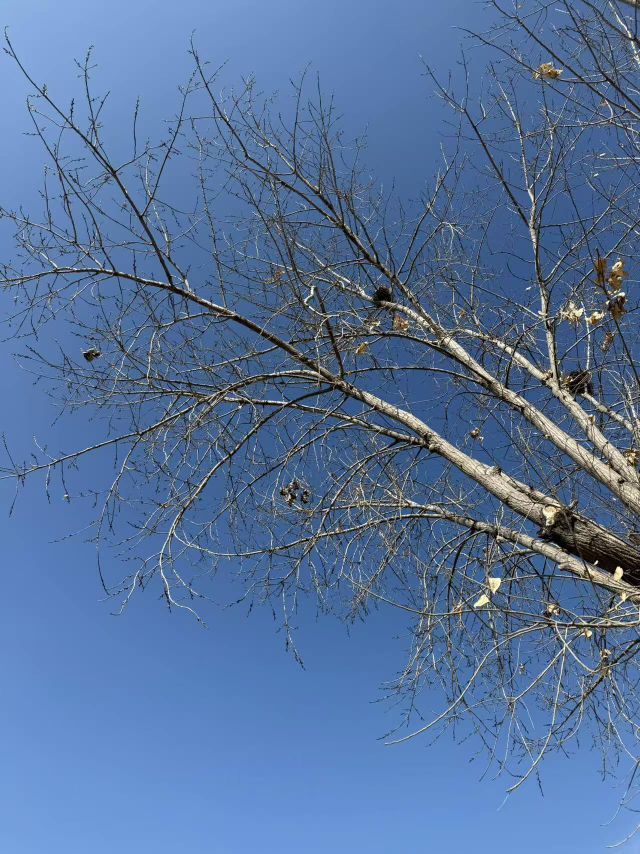 暗香⸝⸝的主播照片