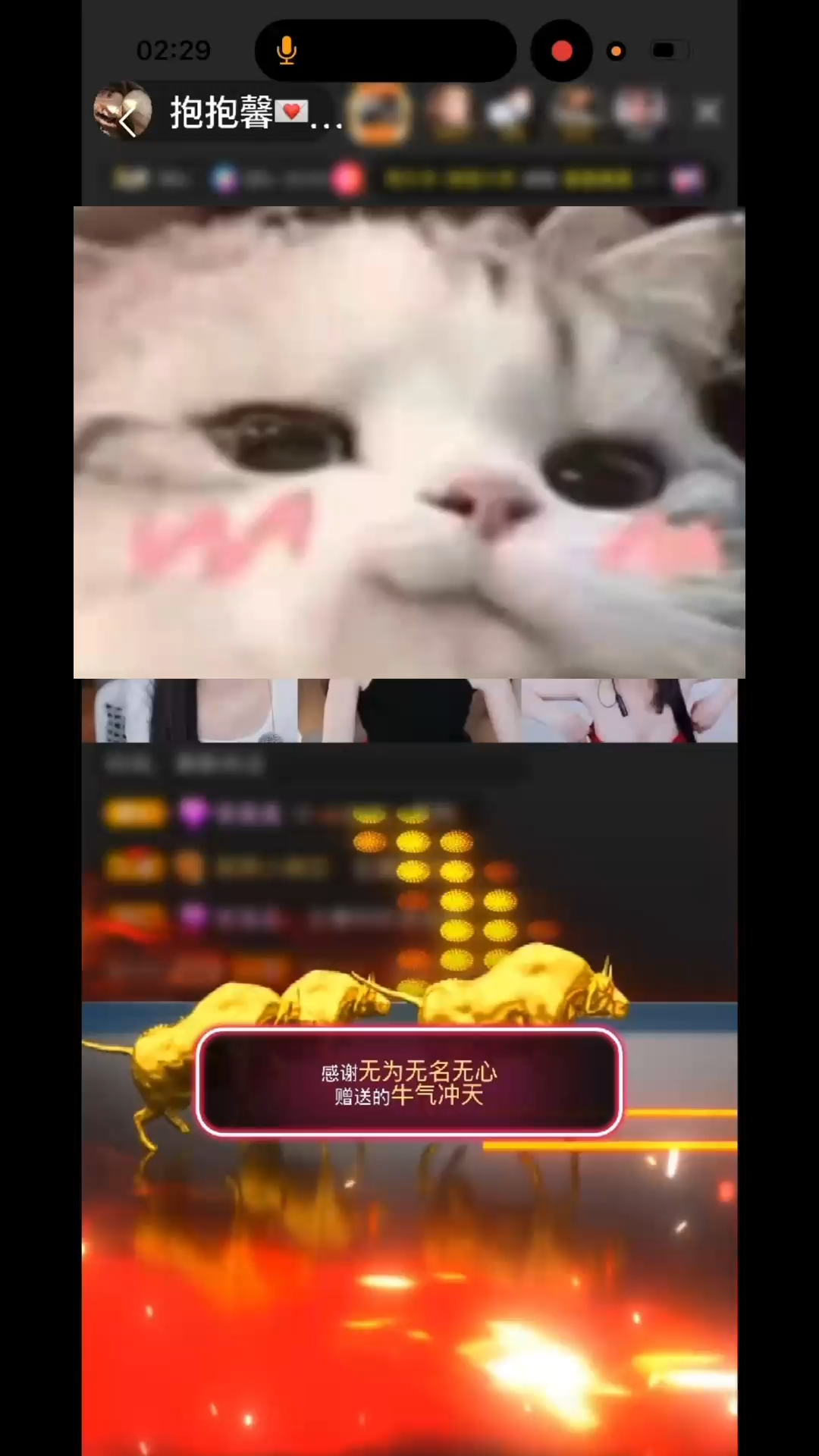 啊呀 ！今年天天都是