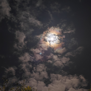 顾。。。。。。