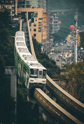 我是自由啊的图片