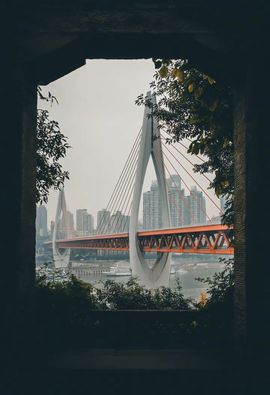 我是自由啊的图片