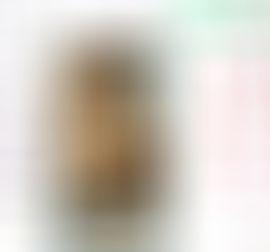 金麒麟好运连连🎵主播图片